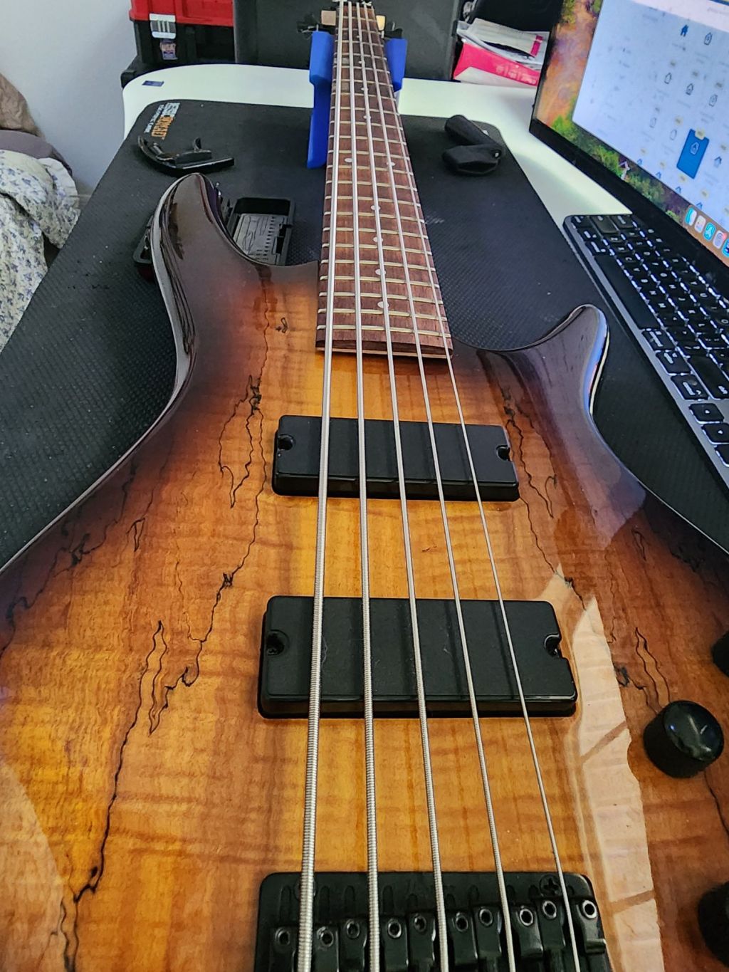 Discover My Experience  Setting Up and Repairing an Ibanez GSR205SM&nbsp;Bass